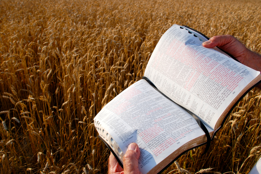 This Bible is open to Mark 9:37, 38 refering to a harvest and needing workers.